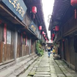 逃离神秘之林